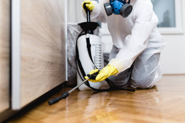 Professional Pest Control in Daytona Beach Shores, FL