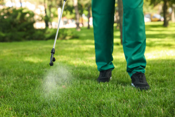 Best Mosquito Control Services  in Daytona Beach Shores, FL