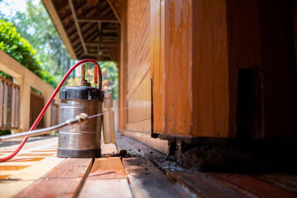 Best Termite Control Services  in Daytona Beach Shores, FL