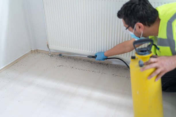 Best Pest Control Near Me  in Daytona Beach Shores, FL